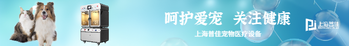 动物ICU