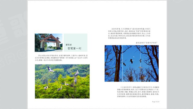 南寧畫冊設計報價