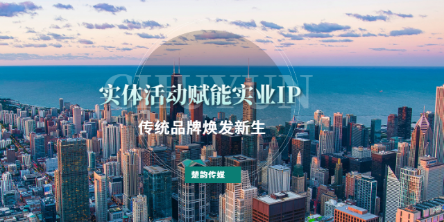 老板ip打造机构,ip打造