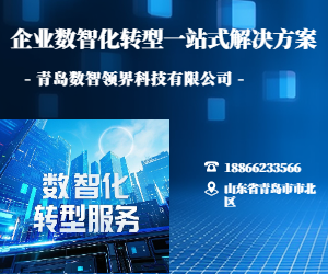 企业的数智化转型一站式解决方案专业者