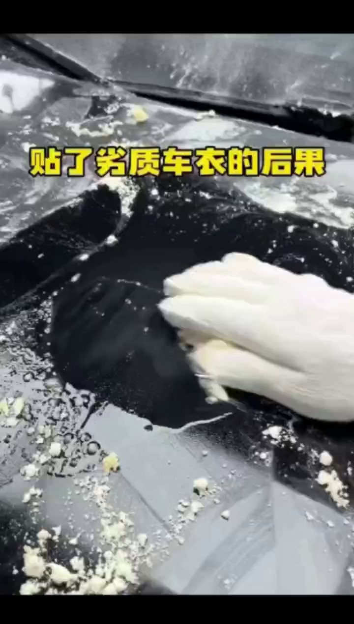 黄石自交联汽车保护膜胶水解决方案,汽车保护膜胶水