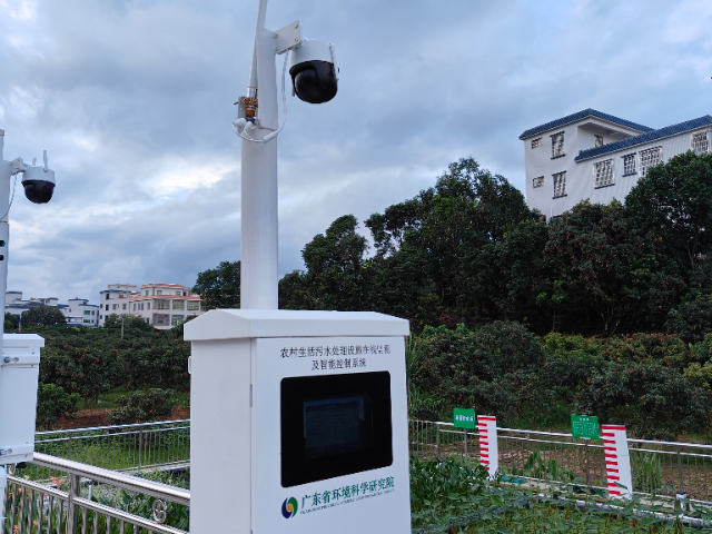 广东湿地植物生长监测仪价格 湛蓝之源环保技术供应