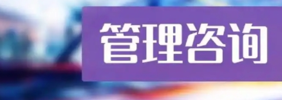 新洲区企业管理咨询商家,企业管理咨询