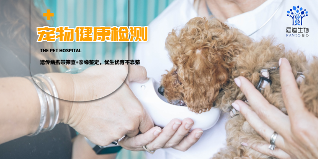 石家庄WGS全基因检测多少钱,基因检测