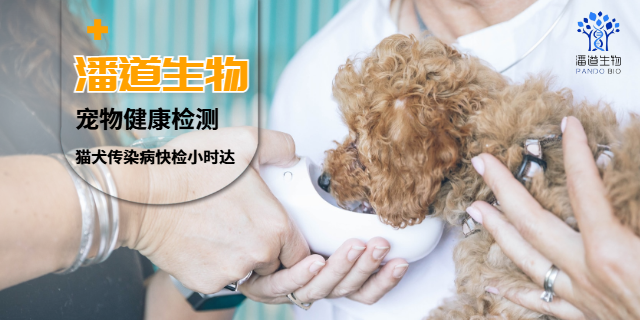 韶關(guān)端粒長(zhǎng)度基因檢測(cè)電話 深圳市潘道生物科技供應(yīng)