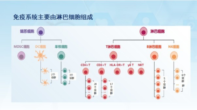 河南口腔免yi力检测都查哪些项,免yi力检测
