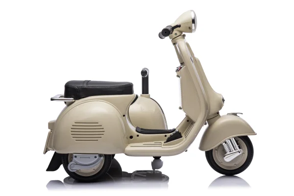 岳氏車業(yè)YSA8809_vespa授權(quán)侉子車_親子雙座