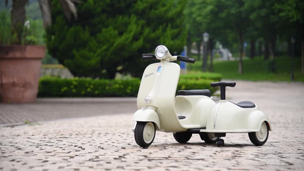 岳氏車業(yè)YSA8809_vespa授權(quán)侉子車_親子雙座