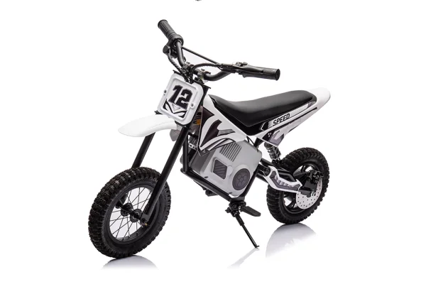 岳氏車業YSA9901摩托車8色