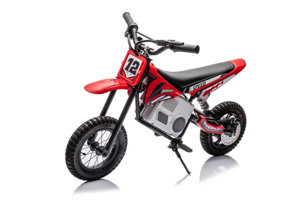 岳氏車業YSA9901摩托車8色