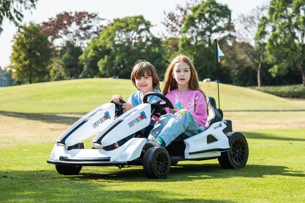 YSA-8801-48V無刷電機雙座卡丁車