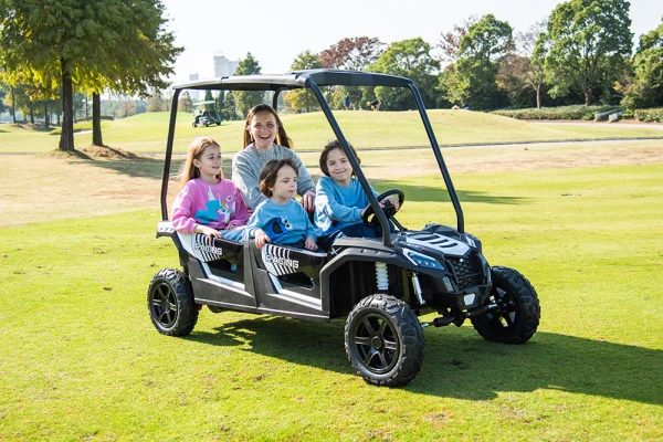 YSA-033-48V無刷電機四座充氣輪皮座