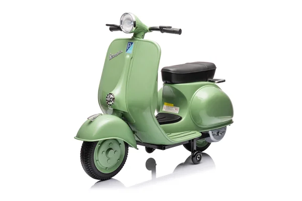 岳氏車業(yè)新品單座摩托車vespa-YSA8820