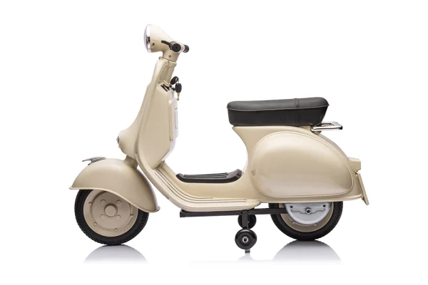 岳氏車業(yè)新品單座摩托車vespa-YSA8820