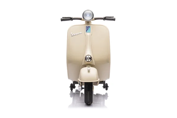 岳氏車業(yè)新品單座摩托車vespa-YSA8820