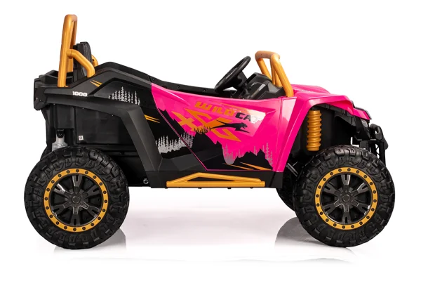 A600---12V/24V /24V無刷 北極貓 Arctic cat 正版授權 雙座越野車