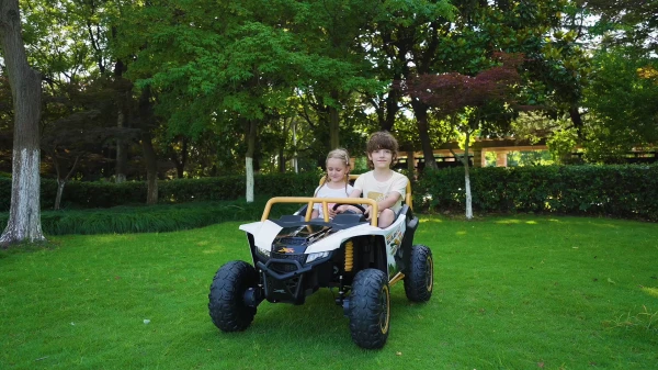 A600---12V/24V /24V無刷 北極貓 Arctic cat 正版授權 雙座越野車