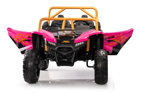 A600---12V/24V /24V無刷 北極貓 Arctic cat 正版授權 雙座越野車