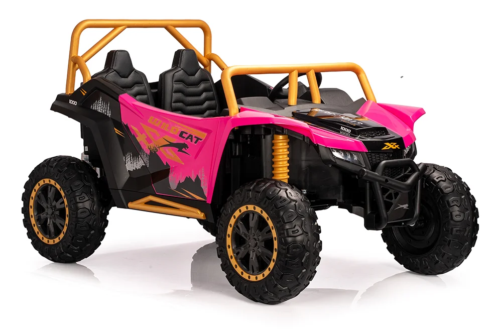 A600---12V/24V /24V無刷 北極貓 Arctic cat 正版授權 雙座越野車