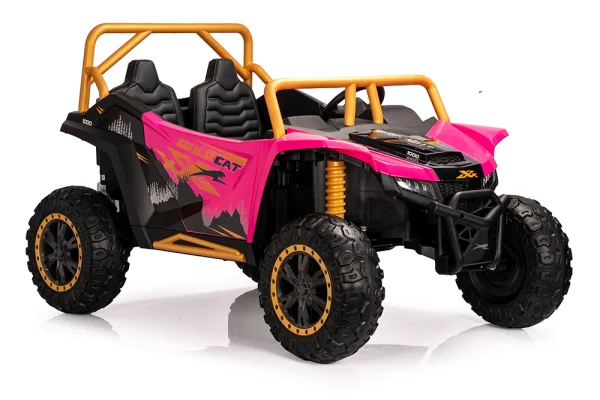 A600---12V/24V /24V無刷 北極貓 Arctic cat 正版授權 雙座越野車