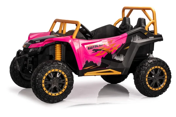 A600---12V/24V /24V無刷 北極貓 Arctic cat 正版授權 雙座越野車