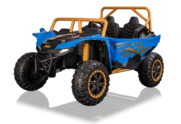 A600---12V/24V /24V無刷 北極貓 Arctic cat 正版授權 雙座越野車