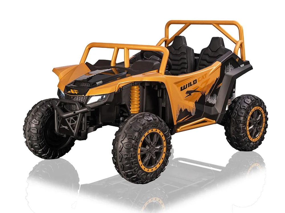 A600---12V/24V /24V無刷 北極貓 Arctic cat 正版授權 雙座越野車