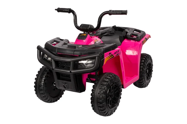 A8001北極貓授權(quán)沙灘車