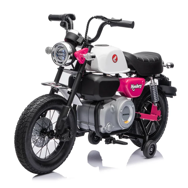 本田授權摩托車,岳氏YSA9906 單座小猴子摩托車