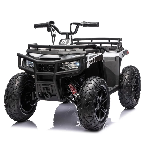 A800-1 大款--沙灘車 24V 大輪款 24V200W 無刷電機(jī)+差速器