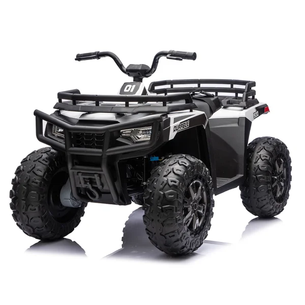 A800-1 大款--沙灘車 24V 大輪款 