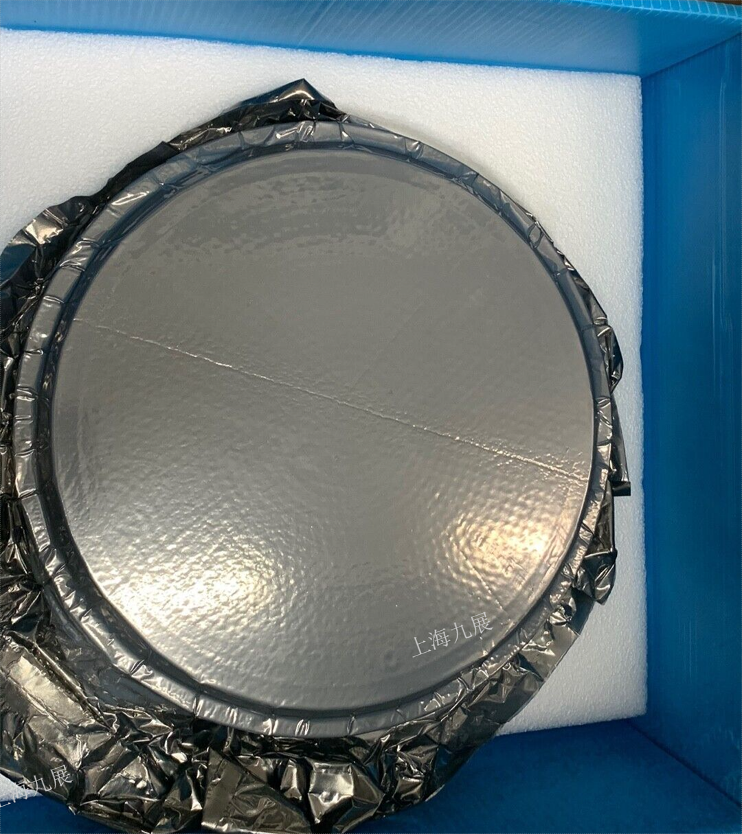 AMAT 0040-44263 300MM ESC 静电卡盘