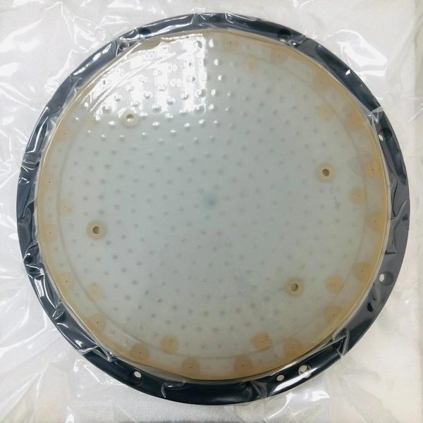 AMAT - 0040-40978 E-MAX 200 mm ESC