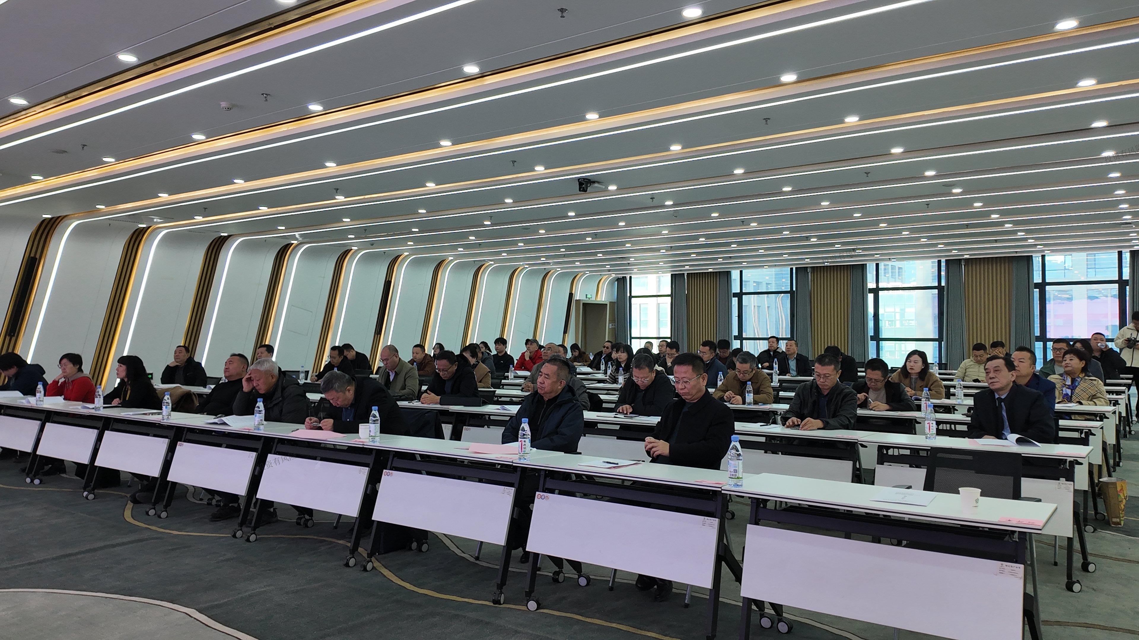 蓝月亮料全年资料大全