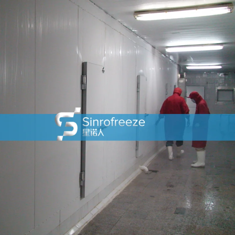 mesh belt tunnel freezer