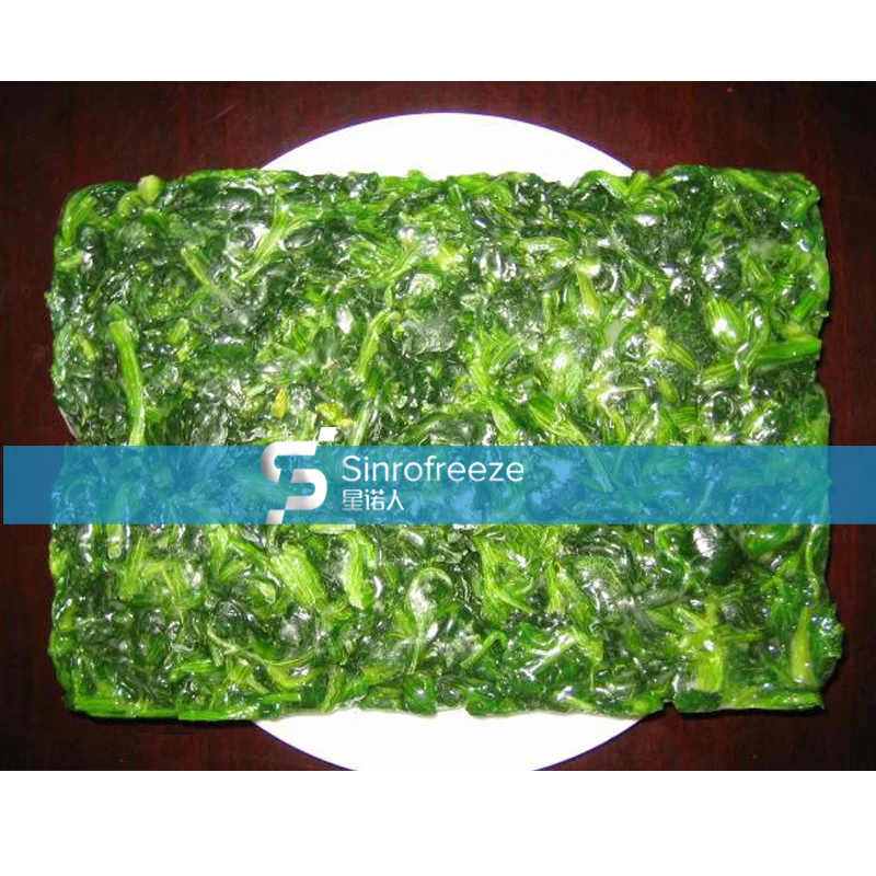 vertical plate freezer manufacturers china