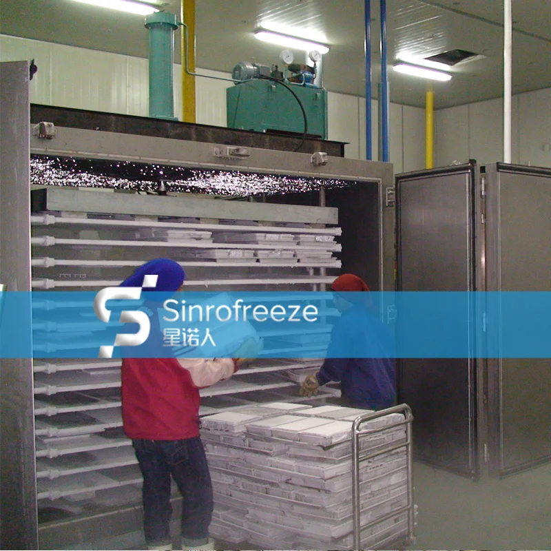 contact plate freezer products