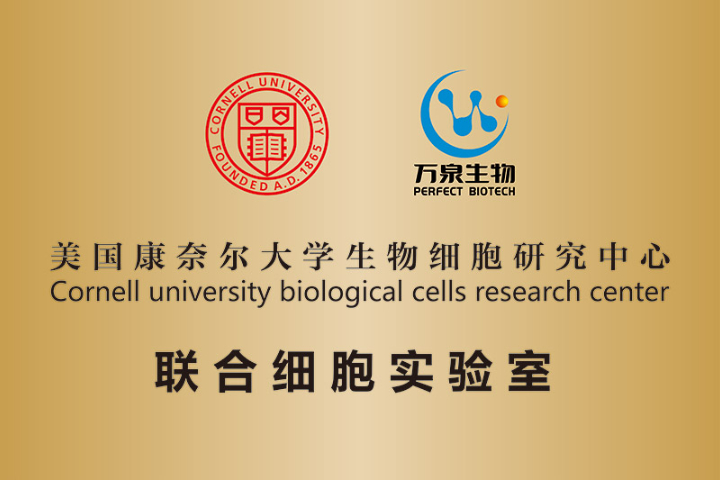 上海常用艾特芙細(xì)胞培養(yǎng)基產(chǎn)品 萬(wàn)泉艾特芙供應(yīng)