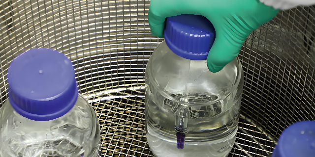 无菌隔离器生物指示剂芽孢数量