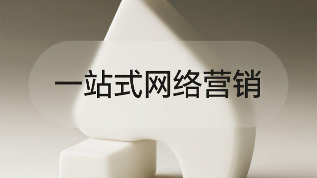 鄭州中小微企業(yè)一站式網(wǎng)絡(luò)營(yíng)銷策略,一站式網(wǎng)絡(luò)營(yíng)銷