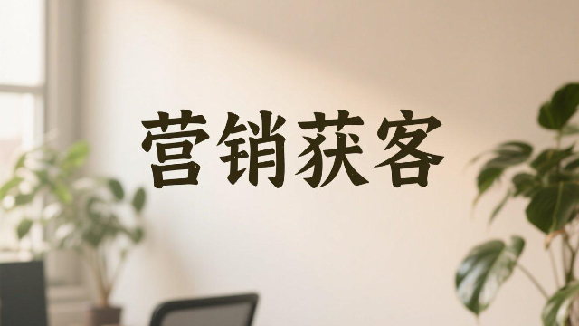 河南數(shù)字化營銷獲客未來趨勢