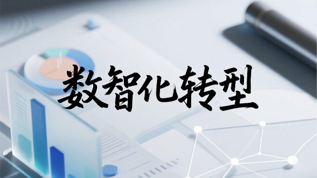 河南數智化轉型前景