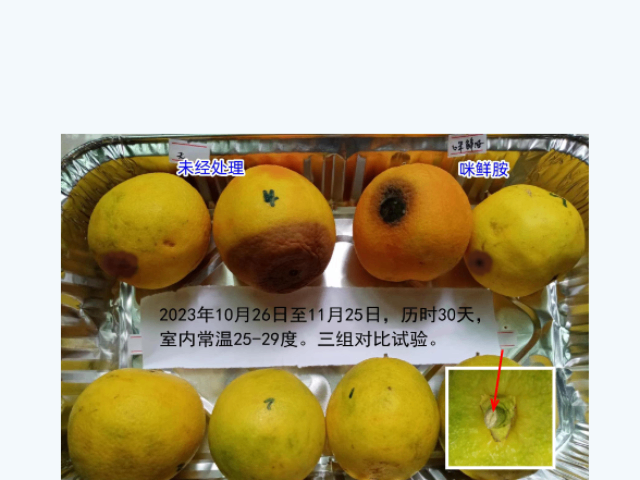 水果保鮮墊配方 廣州市栢盛新材料科技供應(yīng)