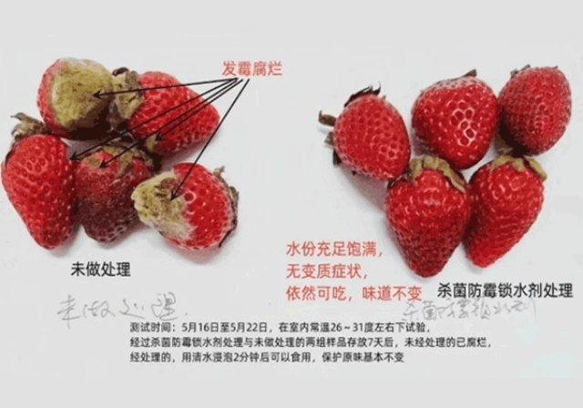 榴蓮保鮮盒廠家供應(yīng) 廣州市栢盛新材料科技供應(yīng)