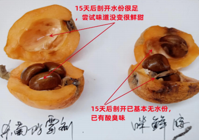 枇杷保鮮劑代理品牌 廣州市栢盛新材料科技供應(yīng)