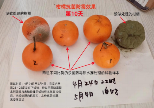 沙果保鲜盒经销商,保鲜