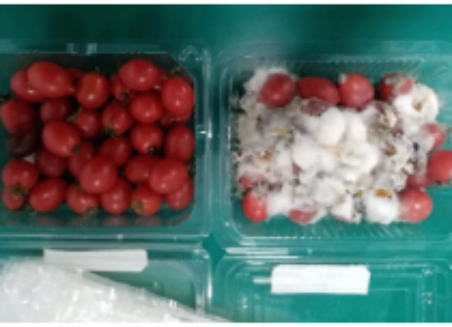 沙果保鲜盒经销商,保鲜