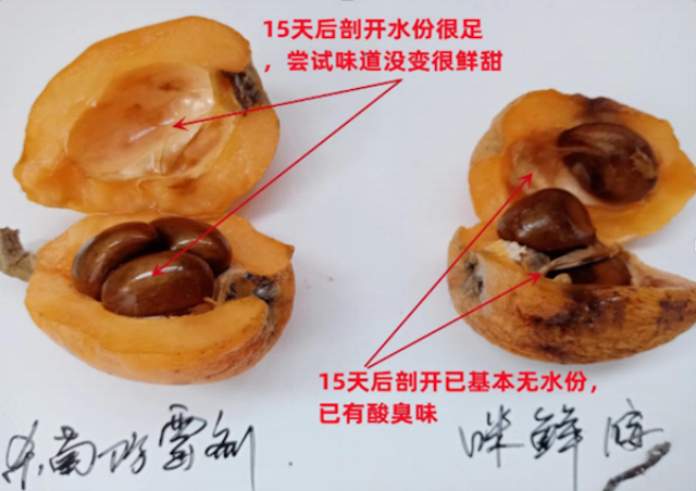 苹果保鲜,保鲜