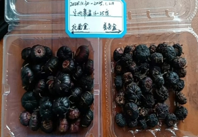 柑橘保鮮墊配方 真誠推薦 廣州市栢盛新材料科技供應(yīng)