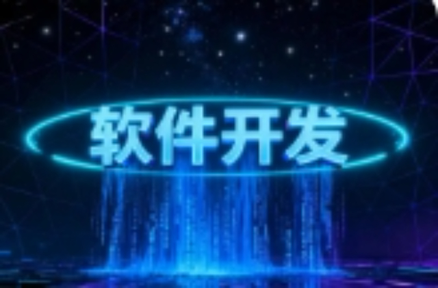 陜西進(jìn)口軟件開發(fā)